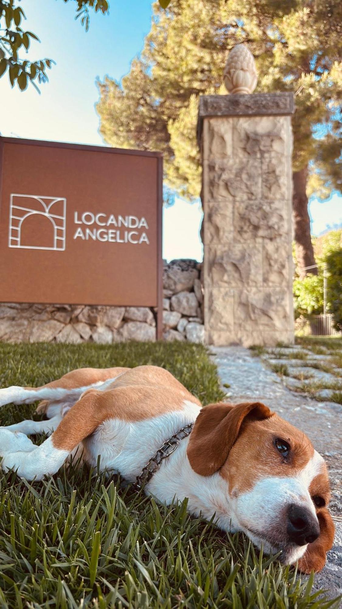 Holiday home Angelica *